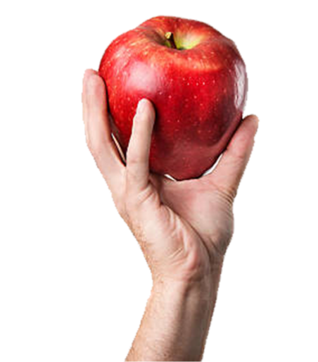 Fresh apple in hand